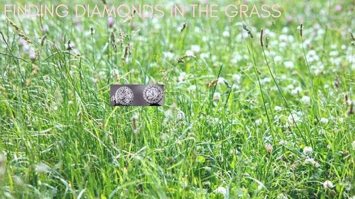 diamond in the grass at home