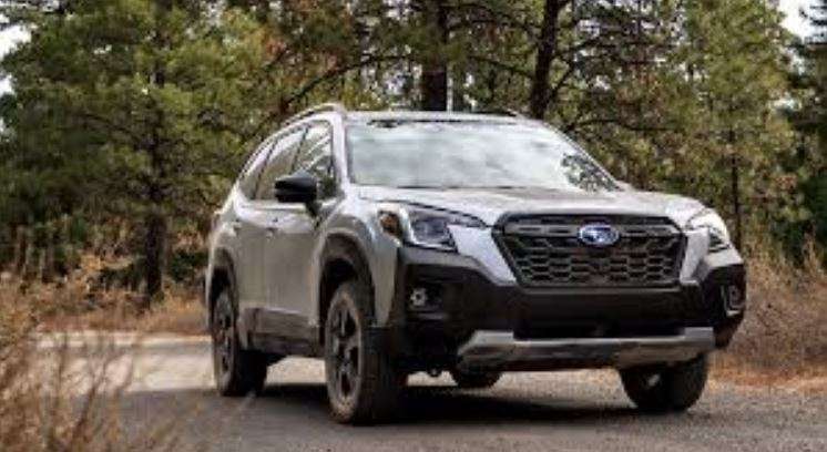 How Much Weight Can A Subaru Forester Hold? 3 sabarus forest